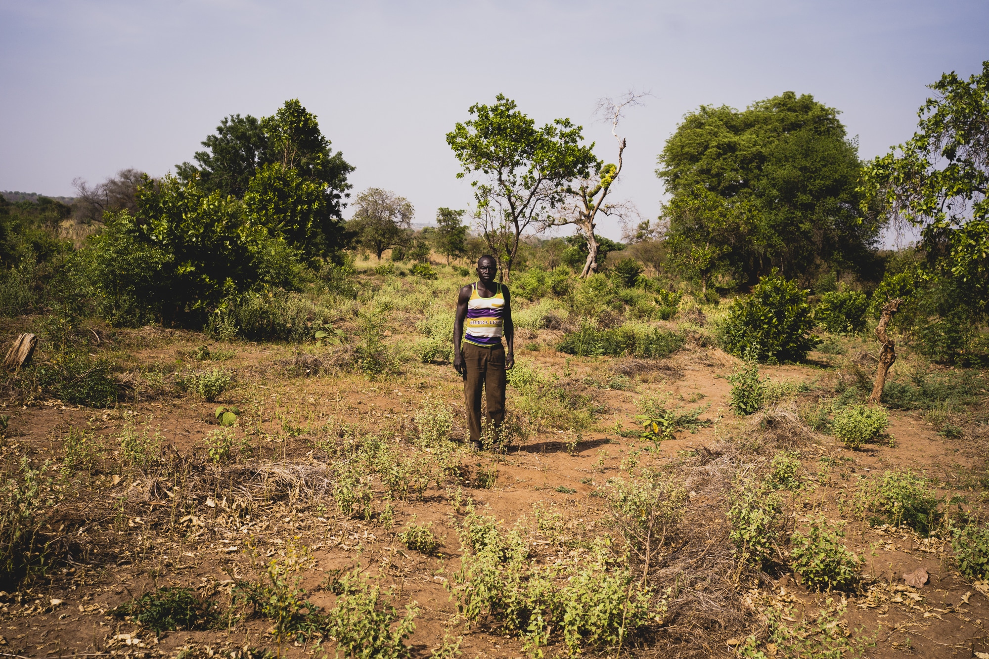 Le sud-soudanais Ogama Kazymero pose aux pieds des plants qu&rsquo;il a mis en terre cinq mois plus t&ocirc;t dans la parcelle 18 de la zone 3 du camp d&rsquo;Imvepi.