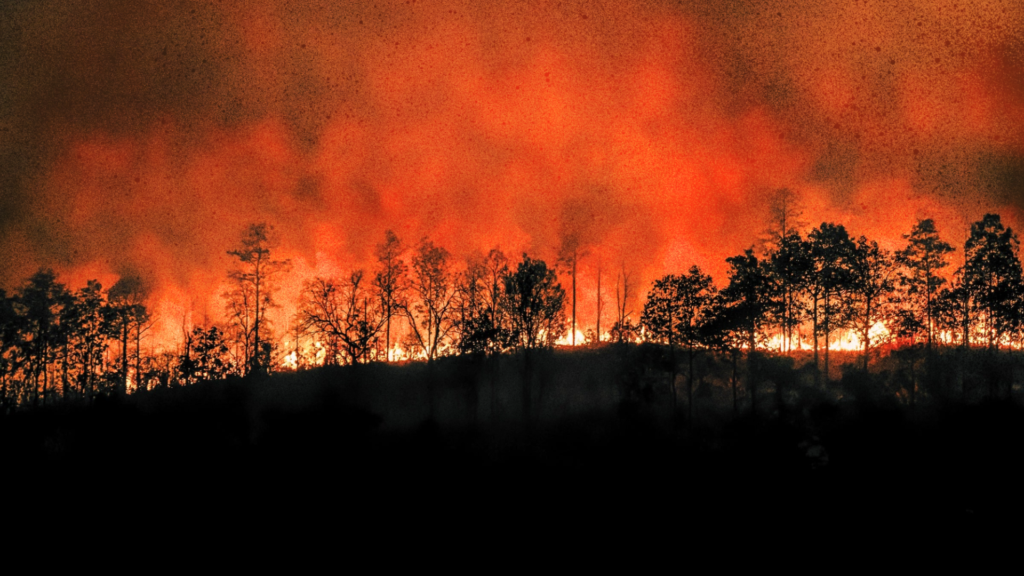 Feux de forêt : le coût du réchauffement climatique s’exprime déjà